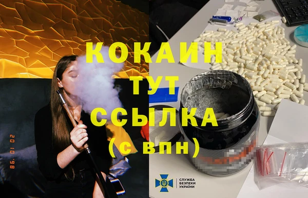 ECSTASY Алзамай