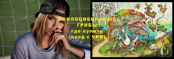 индика Покров