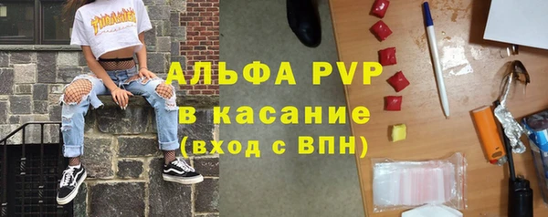 ECSTASY Алзамай