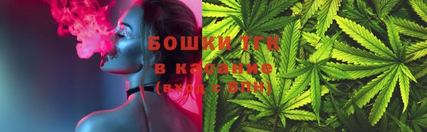 индика Покров